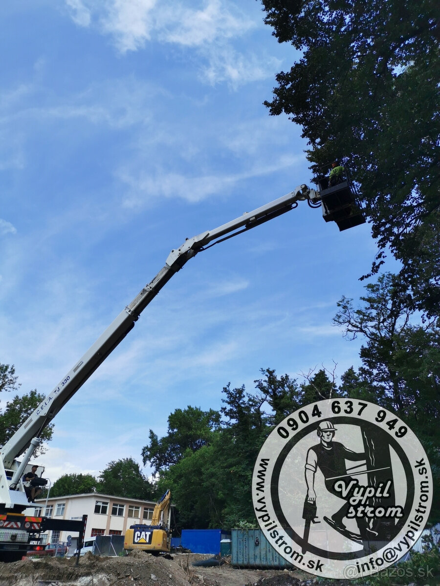 Pilenie a orezavanie stromov, kosenie a udrzba zahrad - 13