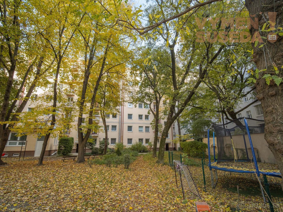 VYMEŇ SUSEDA – NA PREDAJ VÝNIMOČNÝ 2 IZBOVÝ BYT V SRDCI BRA - 13