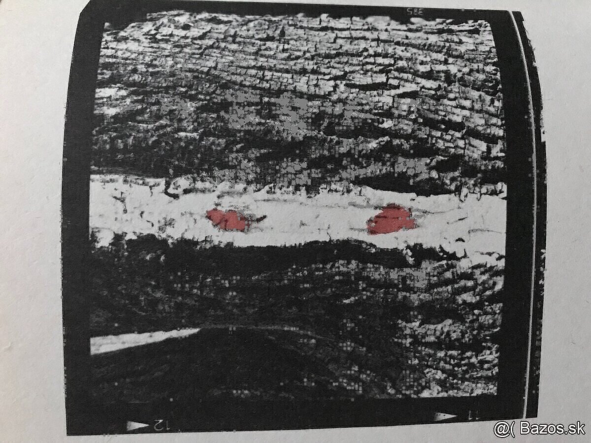 Válek, Štrpka, Ginsberg, Poe, Hemingway, Groch, Krasko - 13