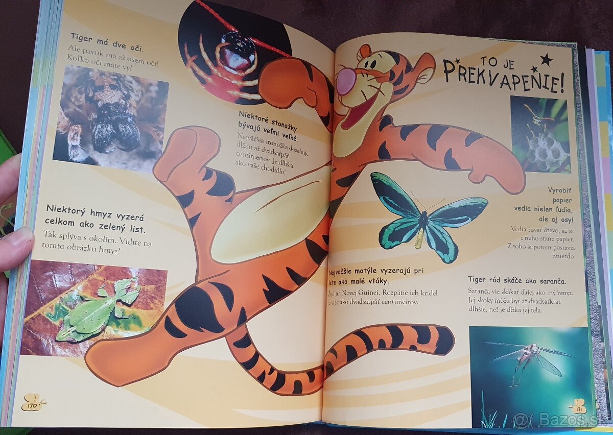 Moja prvá encyklopédia s Mackom Puf a jeho priateľmi - 13