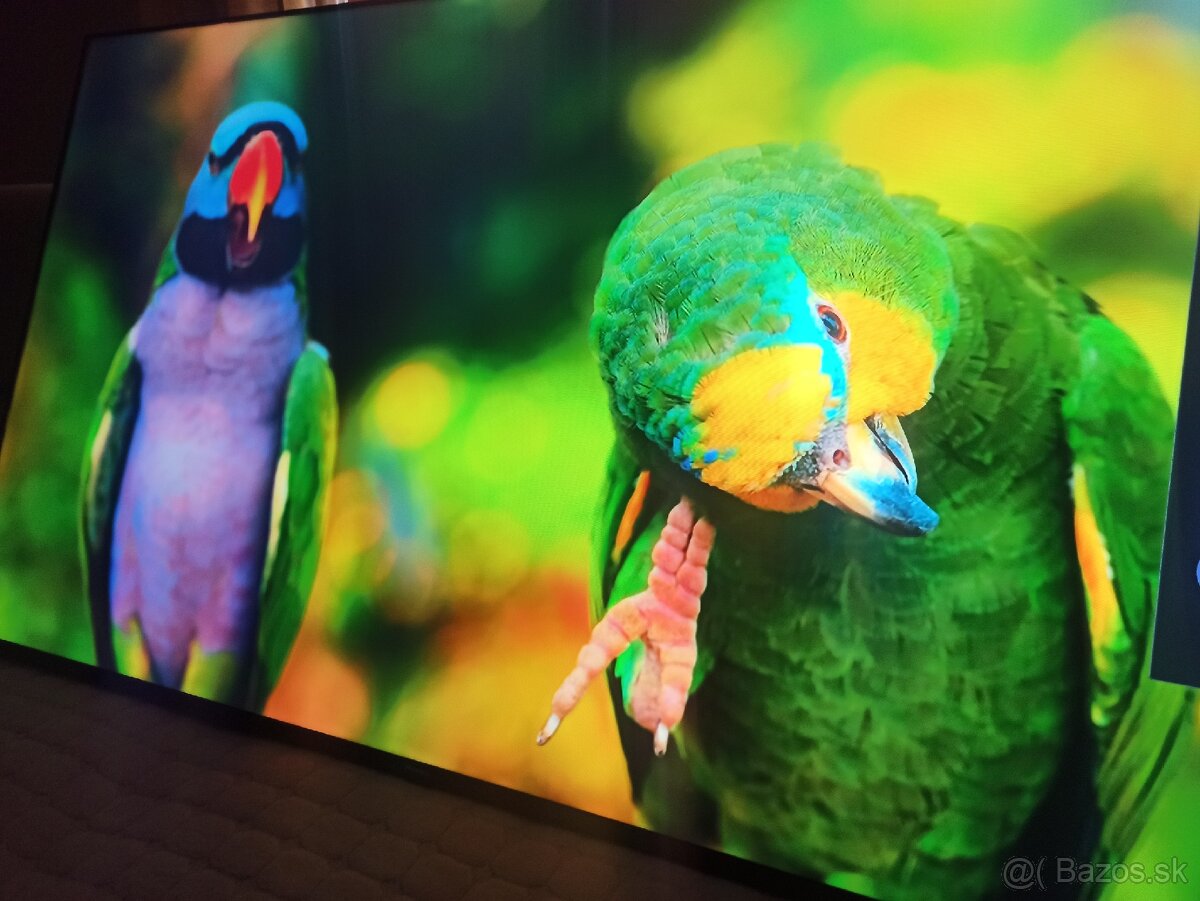 Hisense smart tv 65' (164cm) - 13