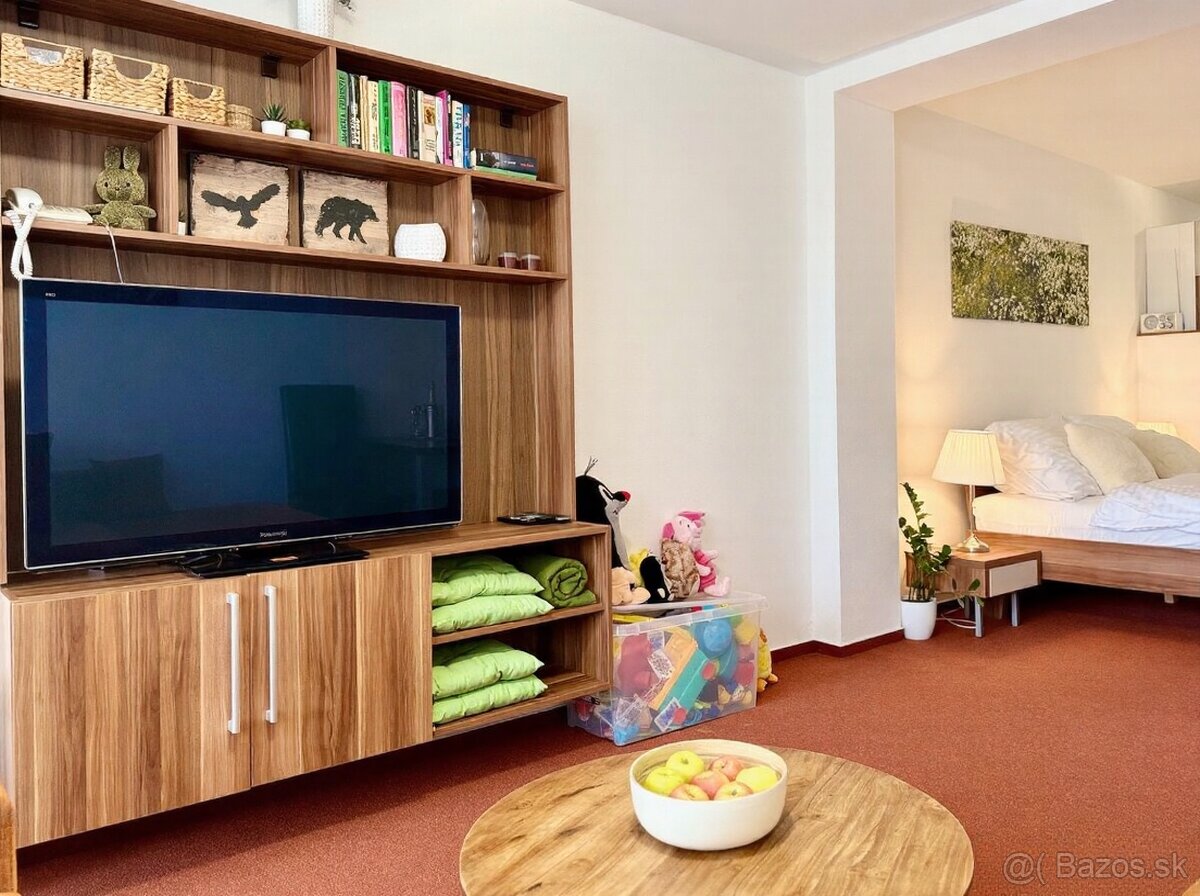 Vysoké Tatry, apartmán+terasa+parking+wellness - 13