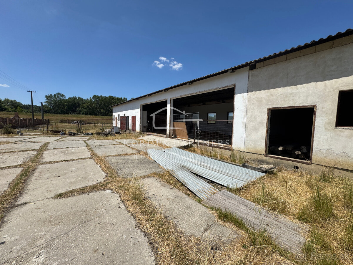 NOVINKA - Rodinná farma na vyše 2,5 hektároch pri Komárne - 13