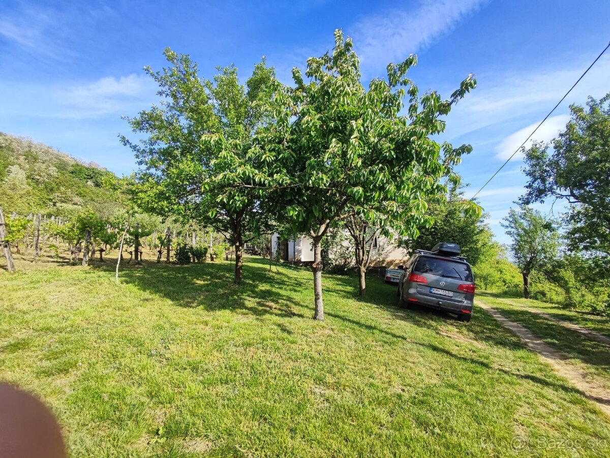 DVA DOMČEKY + 2 PIVNICE na 2 075 m² - 13