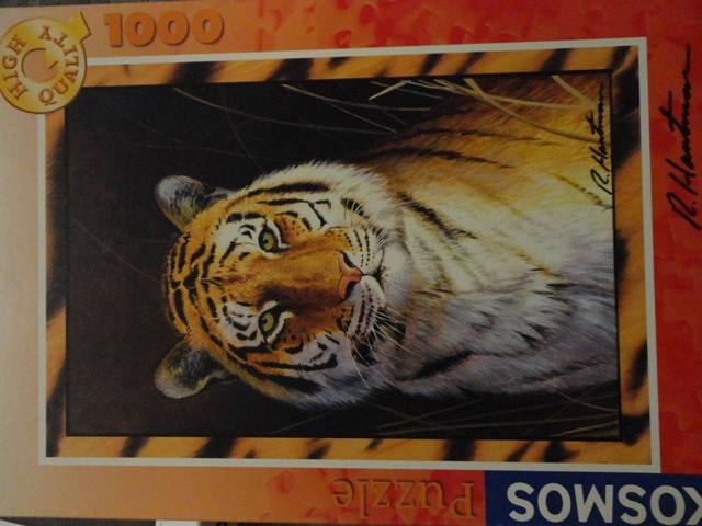 Puzzle 500 - 2 000 ks, 3D - 13