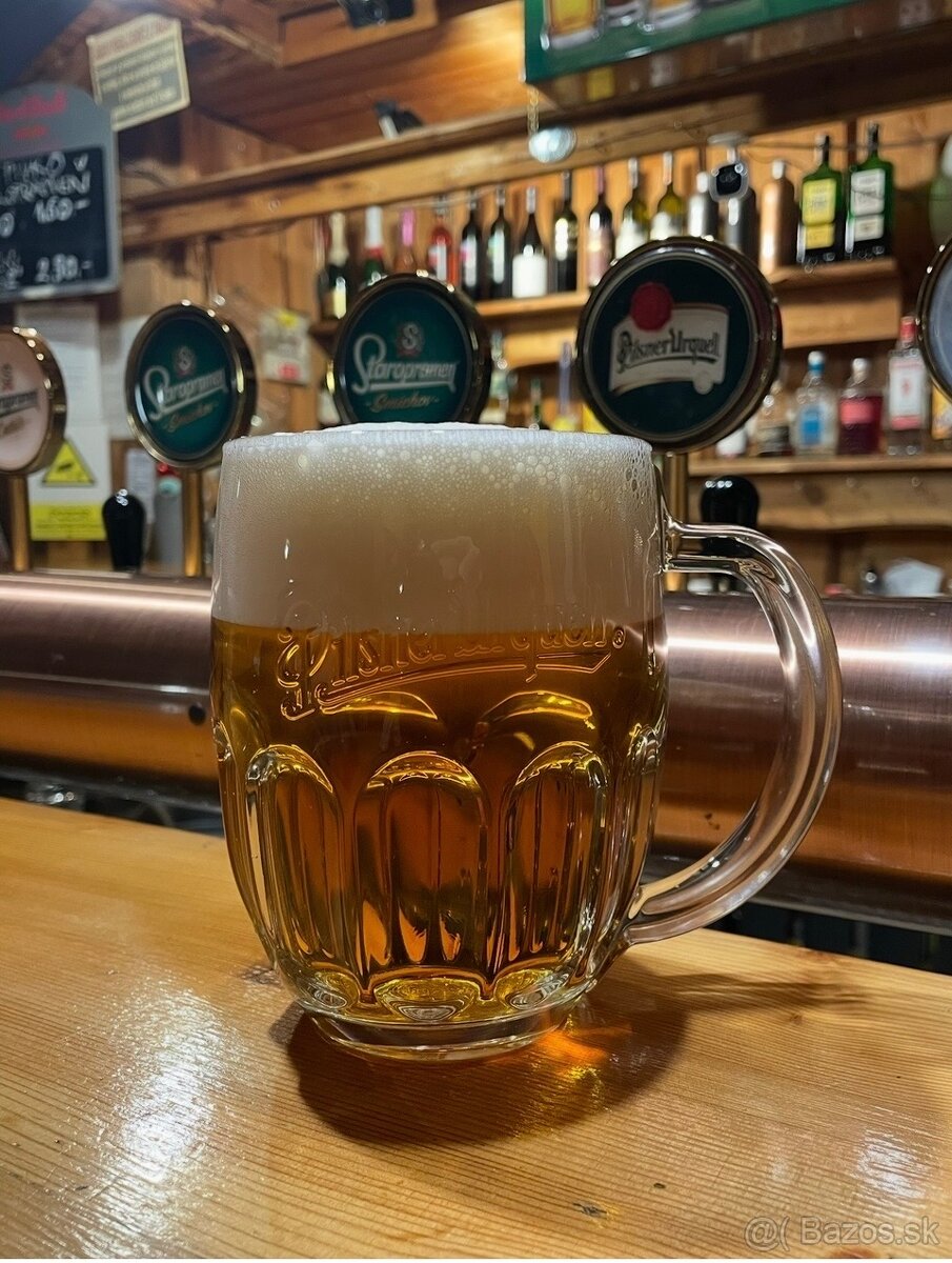 Bar s pizzériou, kuchyňou,pódiom a parketom - 13