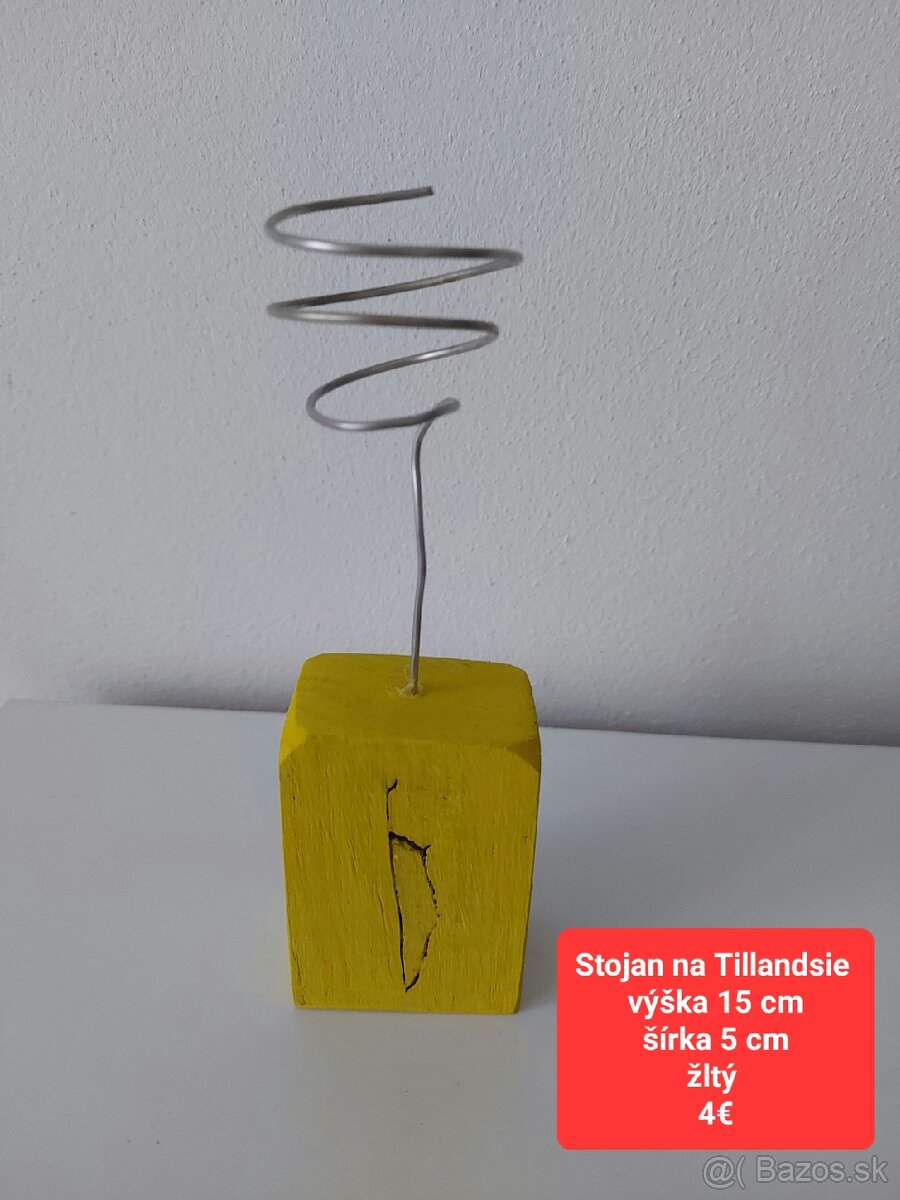 Stojany na Tillandsie - 13