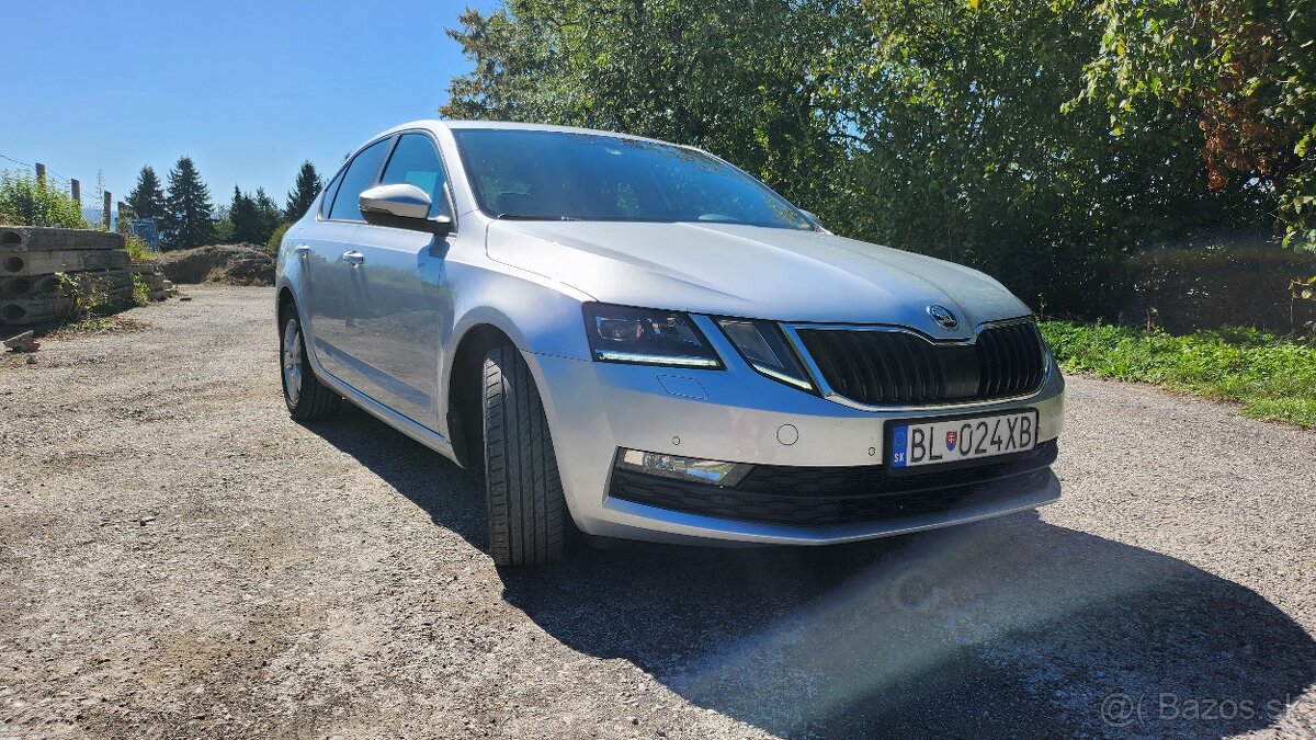 Škoda Octavia 1.5 TSI Ambition 2019 - 13