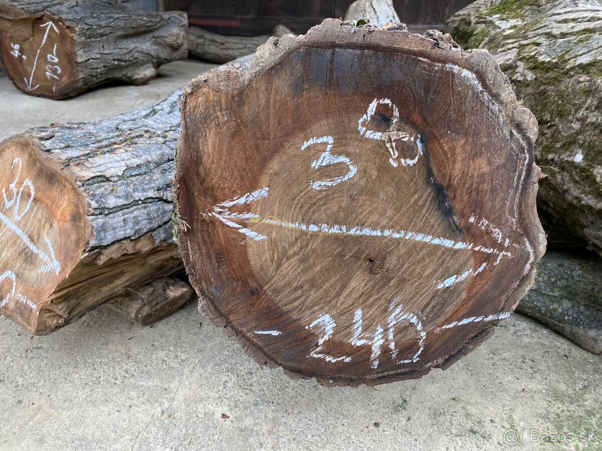 Orechové kmene, guľatina - 13