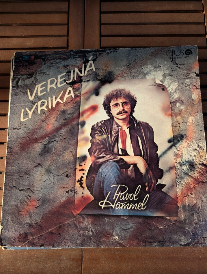 LP Vinyl Platne Slovenský pop - 13