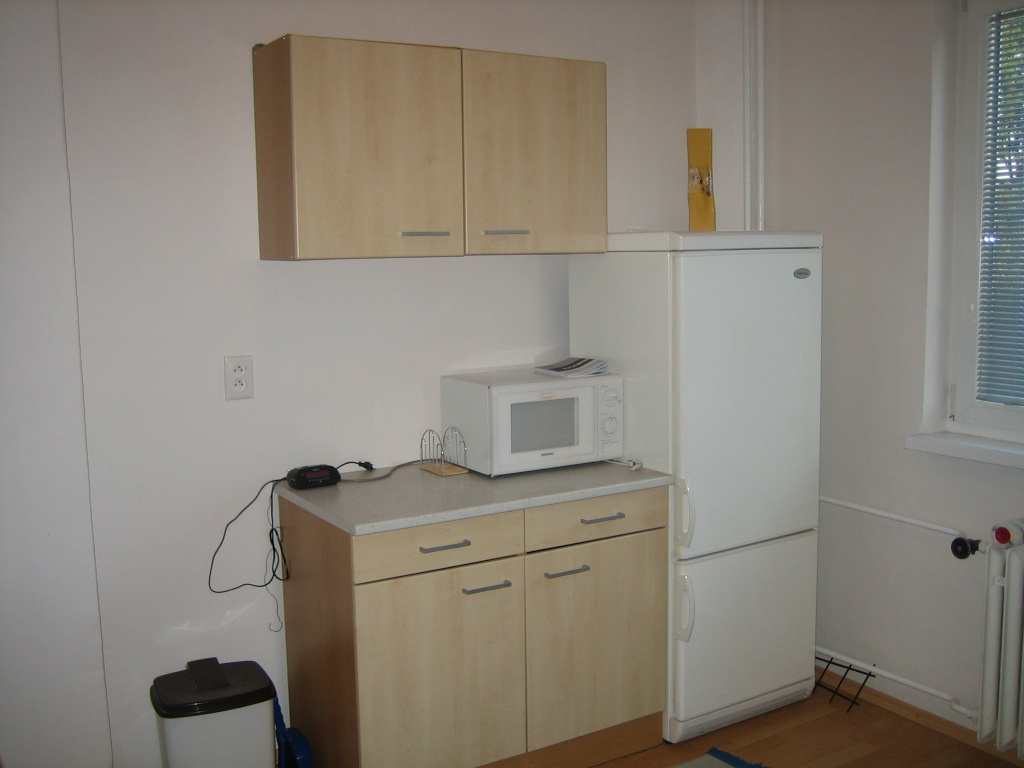 Prenájom 1 - izbový byt blízke centrum - 13