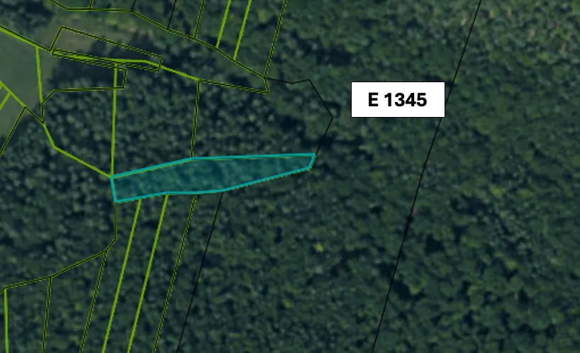 Omastiná – 9.909 m2 LESY a PASIENKY – PREDAJ - 13