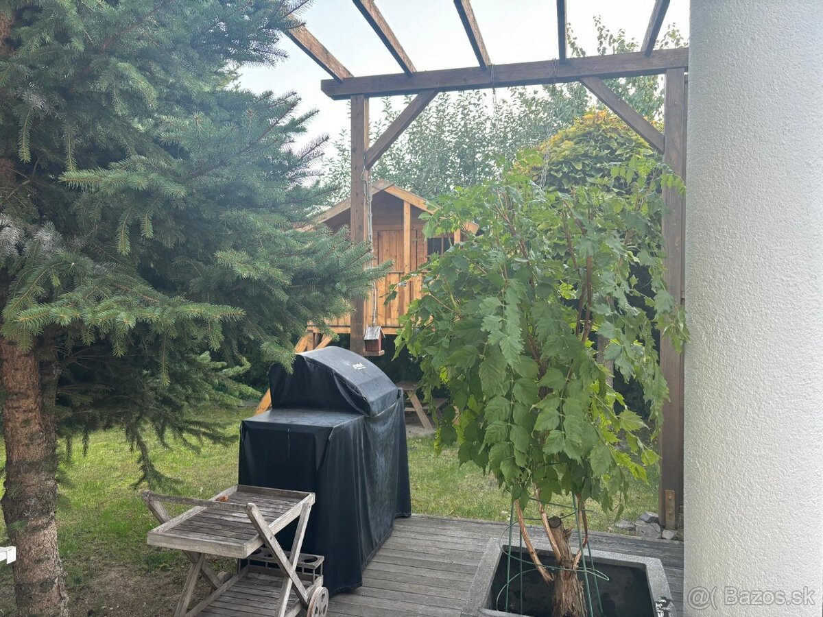 Výhodný prenájom - povolené aj zvieratká - 13