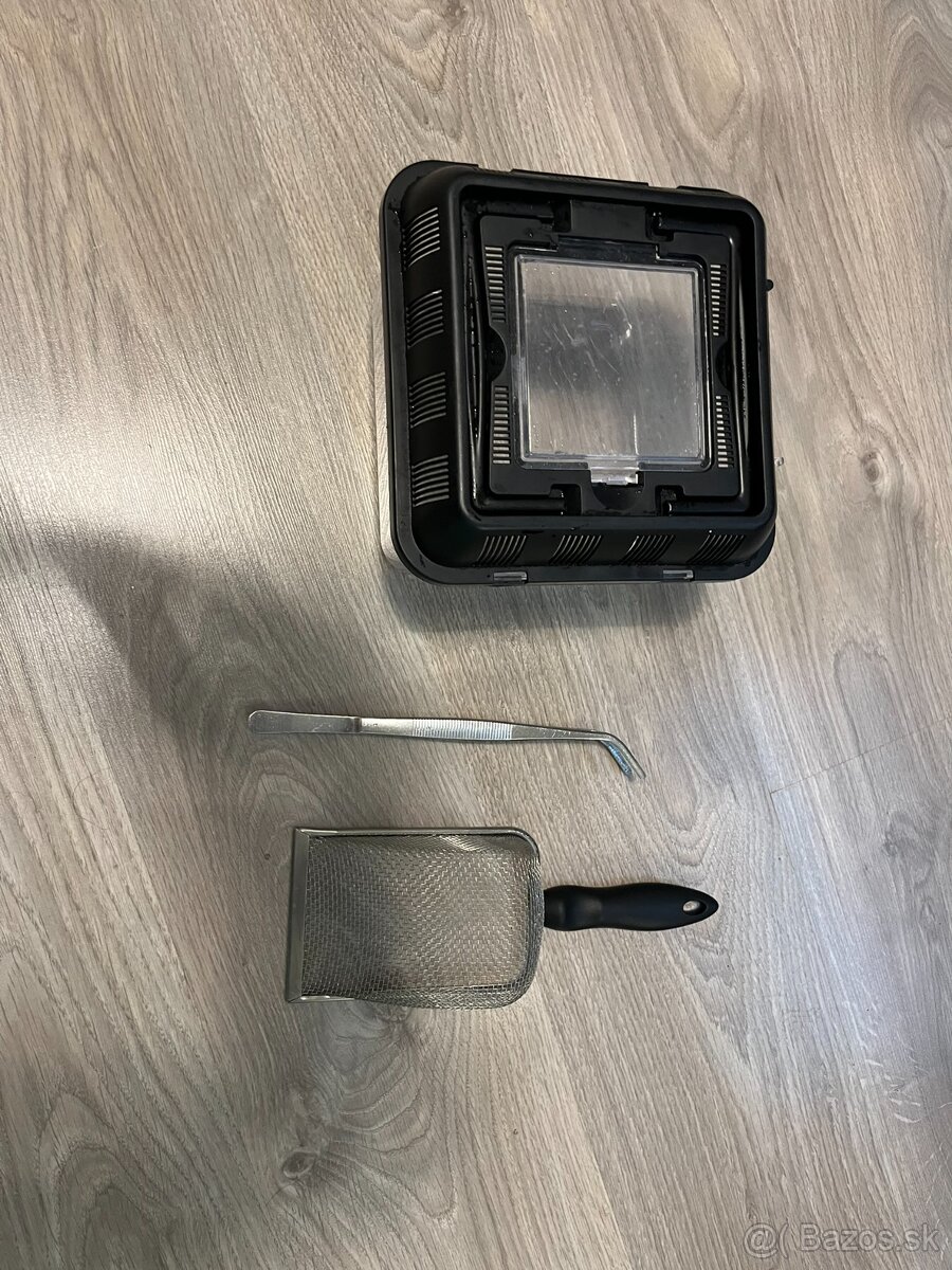 Agama bradatá + terárium - 13