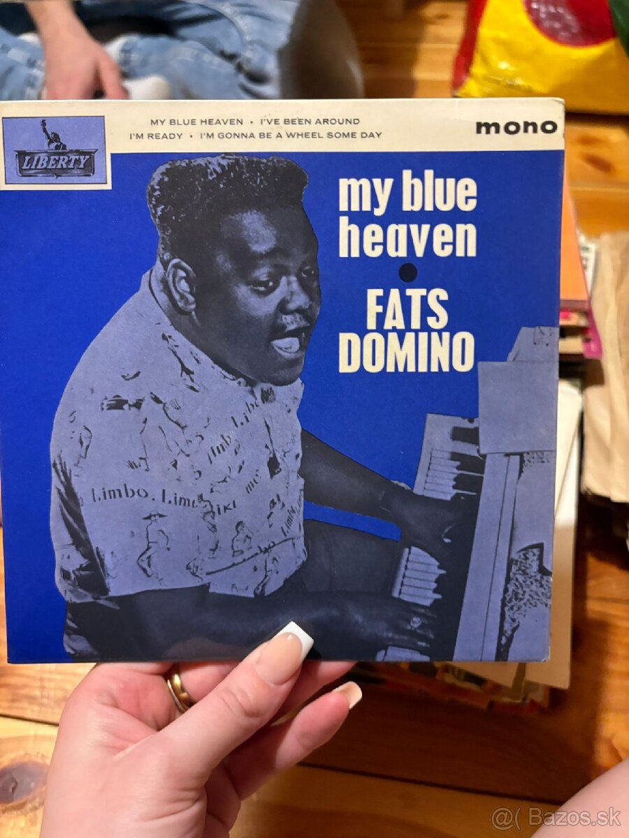 VINYLOVÉ PLATNE - 13