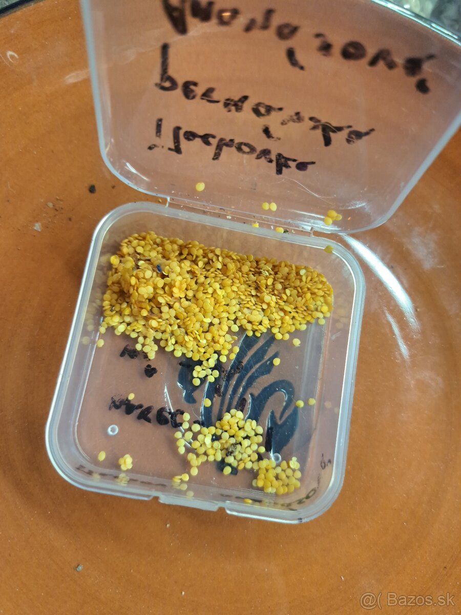 Semená zeleniny a ovocia - 13