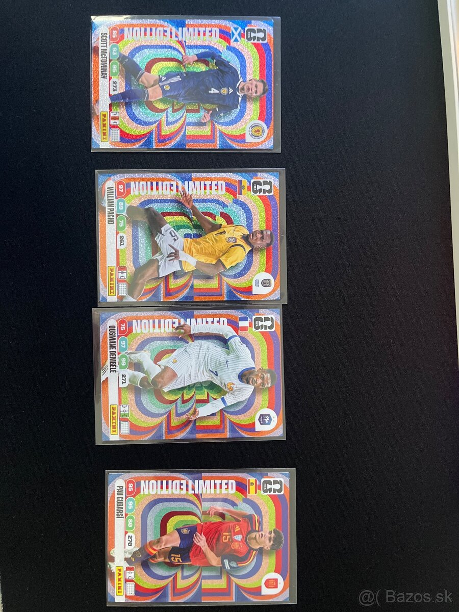 Panini adrenalyn WC - 13