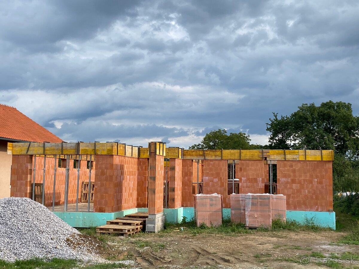 DEBNENIE - LEŠENIE - 13