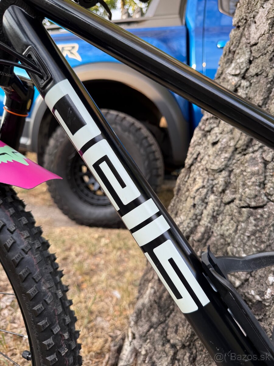 Pells trail 24 - 13