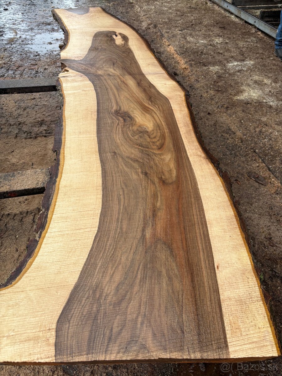 Rezivo Orech Orechové Drevo Kmene - 13