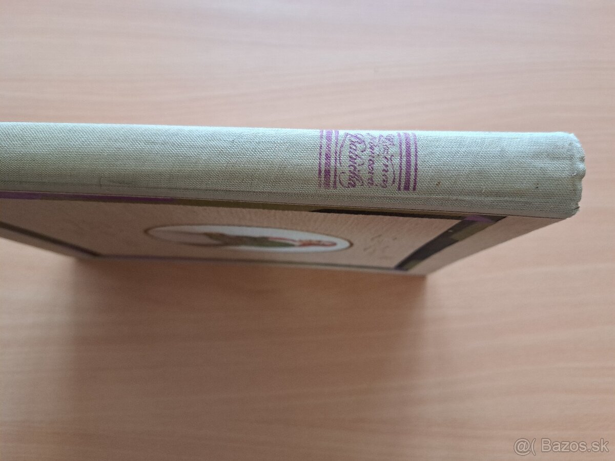 Božena Němcová: Babička - 13