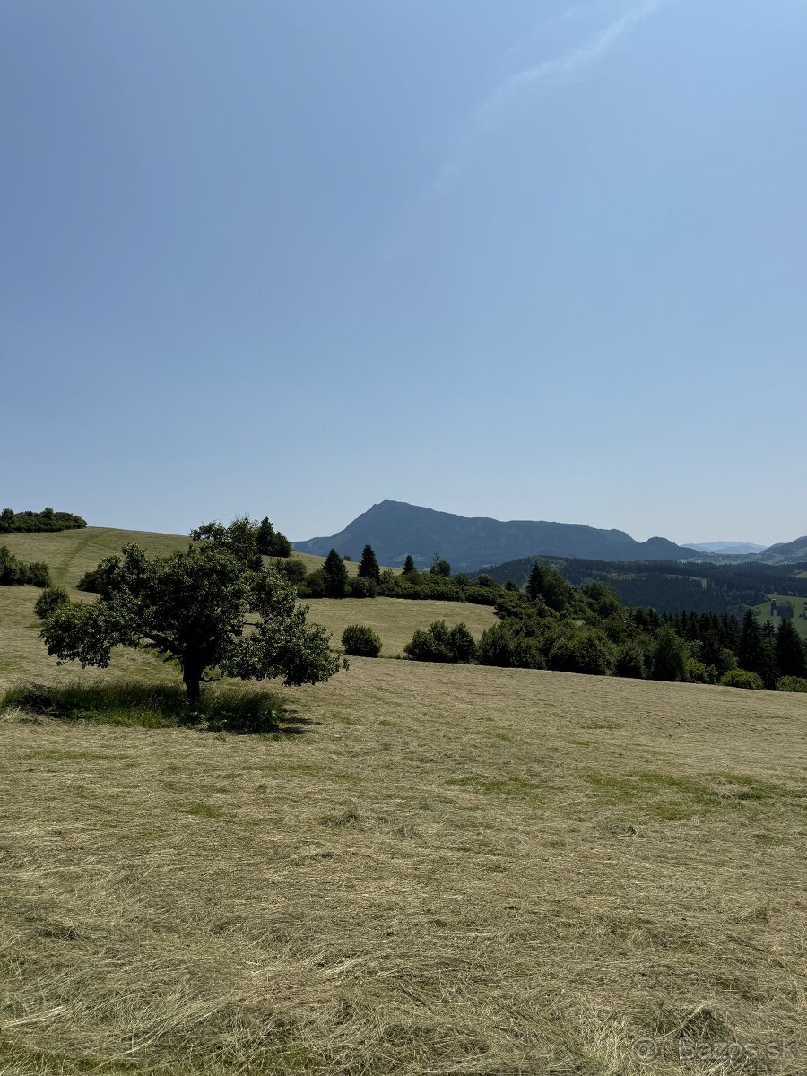 Ponúkam na predaj seno - 13