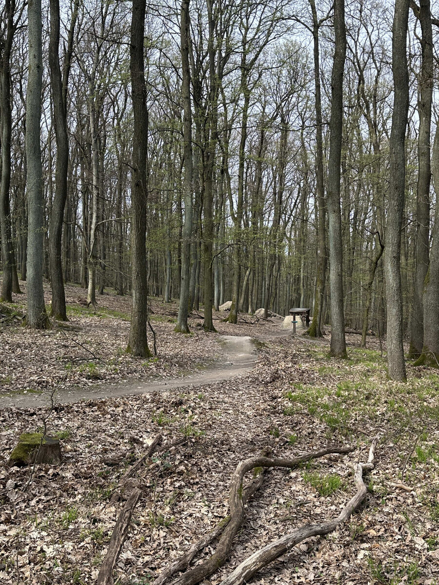 Prenájom- Bratislava III/Koliba - Brečtanová ul. - romantick - 13