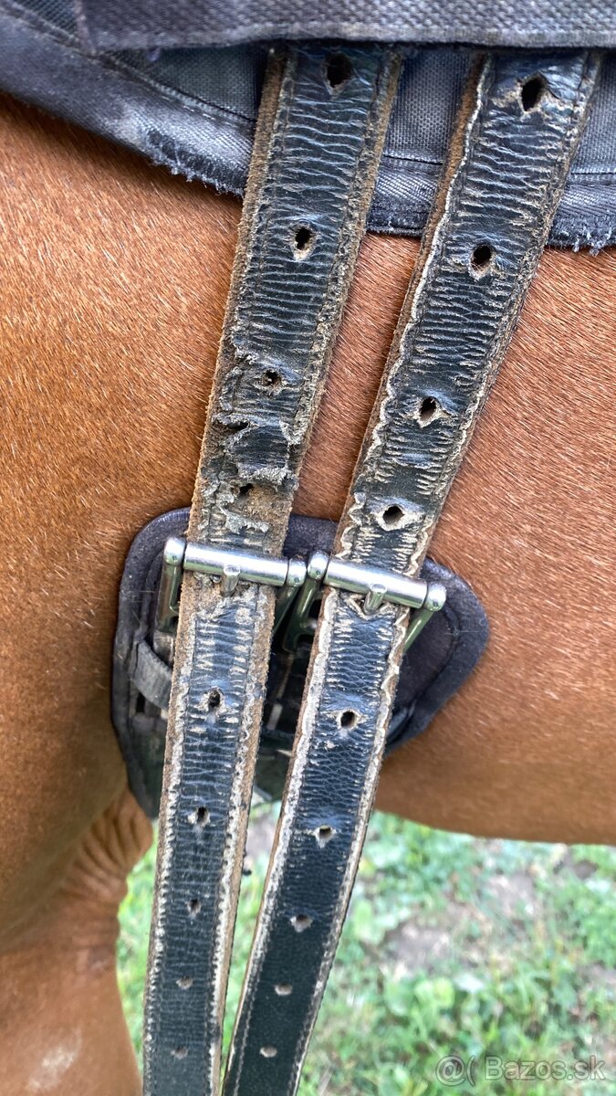 Predám veci na koňa - 13