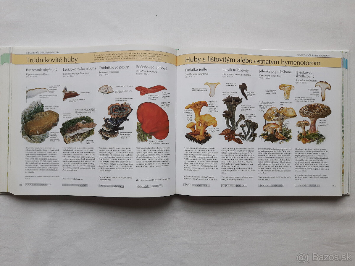 Čarovný svet, Naša príroda - 13