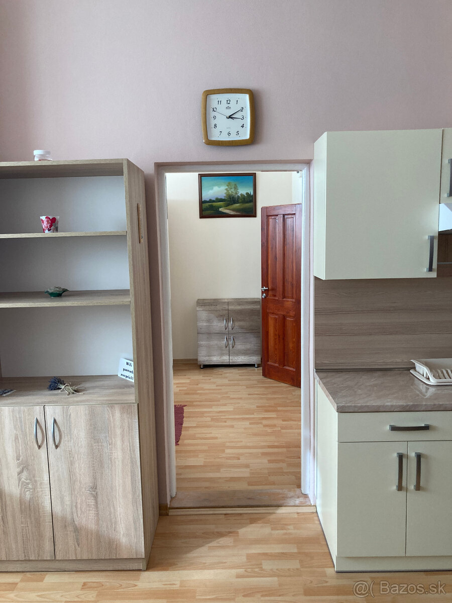PRENÁJOM 2 IZBOVÝ BYT - 13