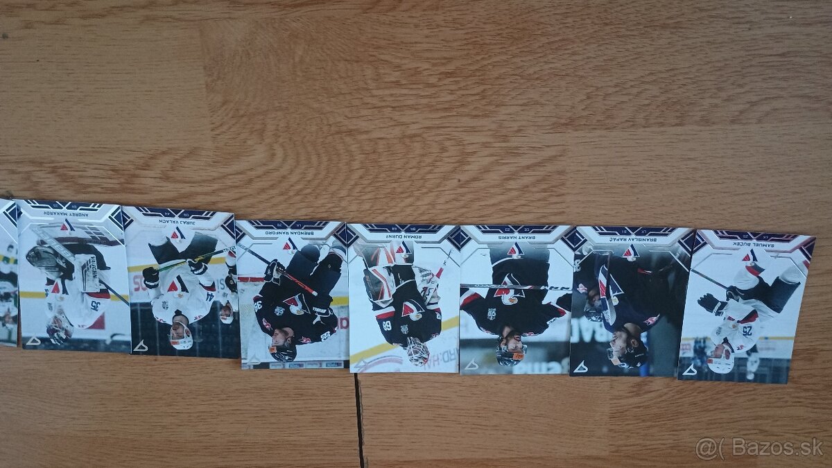 Hokejové kartičky Tipos extraliga 2020/21 - 13