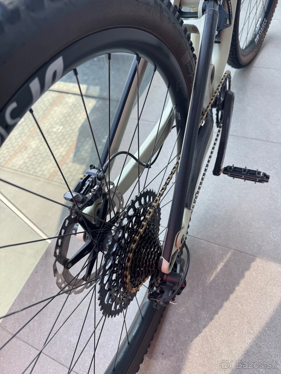 Canyon neuron CF 9 - 13