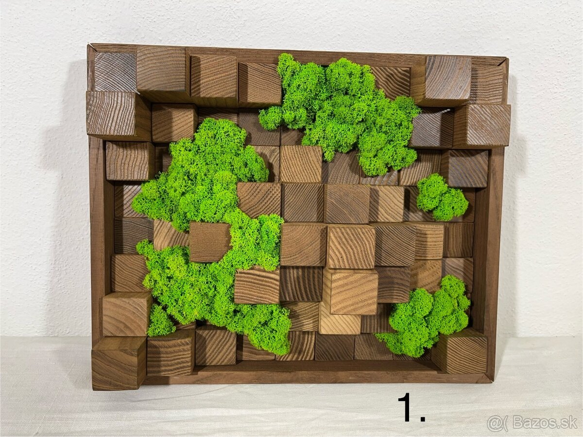 Machové obrazy - akustické difúzory - 13