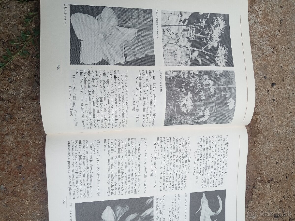 Včela vcelarstvo - 13