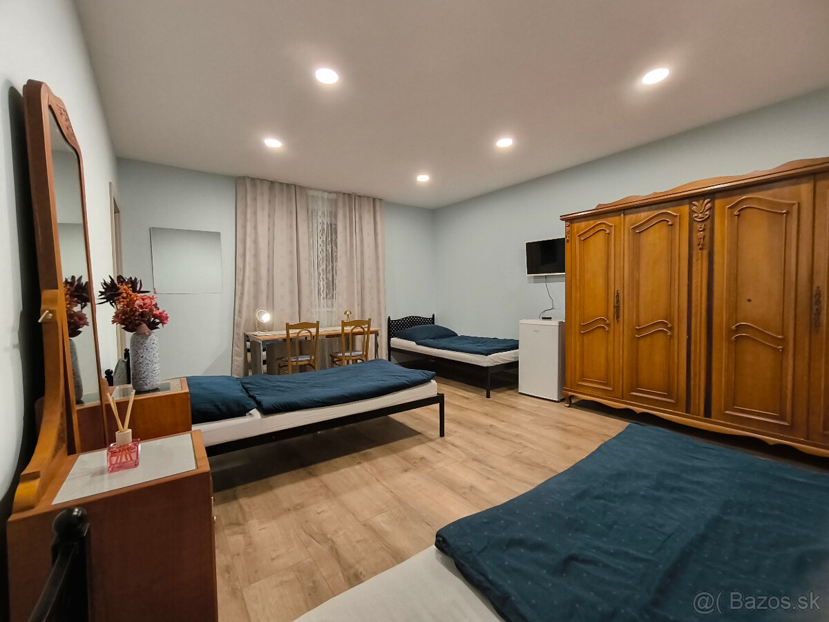 ubytovanie pri Piešťanoch - 13