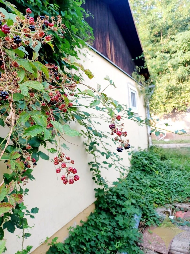 Rodinný dom vhodný na celoročné bývanie aj na rekreáciu - 13