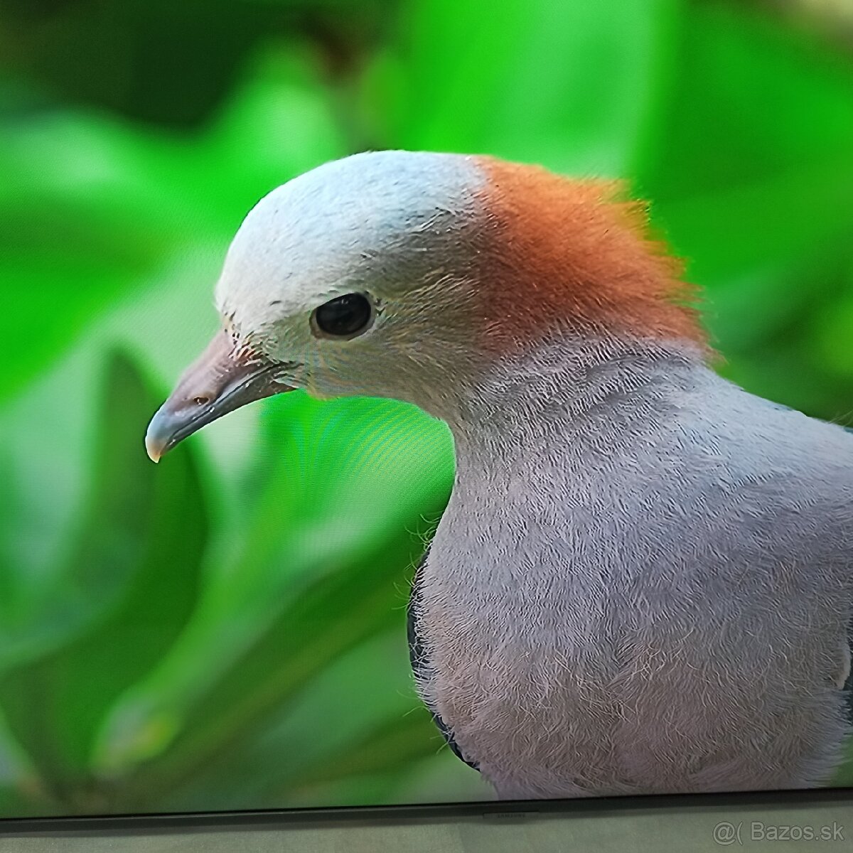 Samsung 4k led lcd tv 50 (127cm) smart - 13