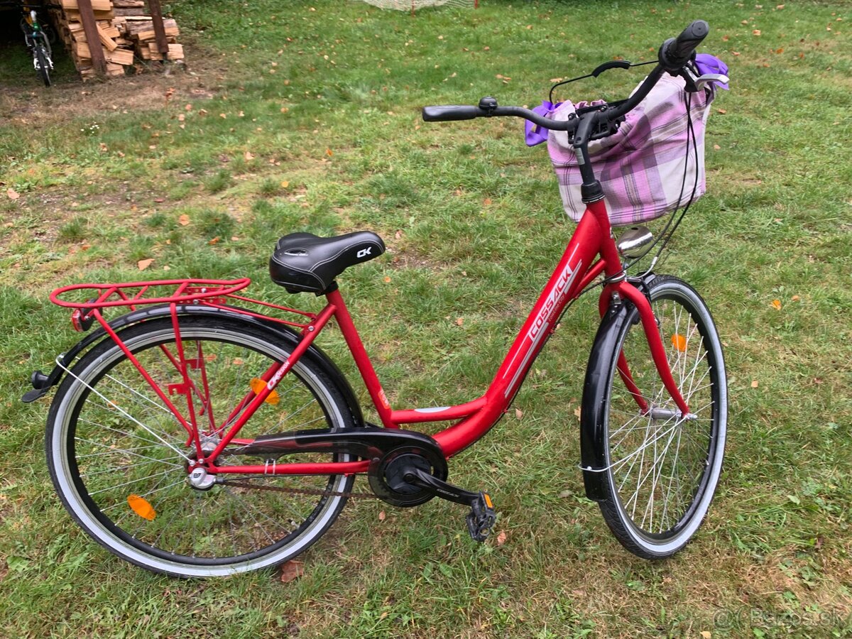 Dámsky bicykel - 13