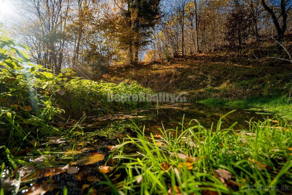 PREDAJ: Tajuplná záhrada s jazierkom a banským potôčikom, 19 - 13