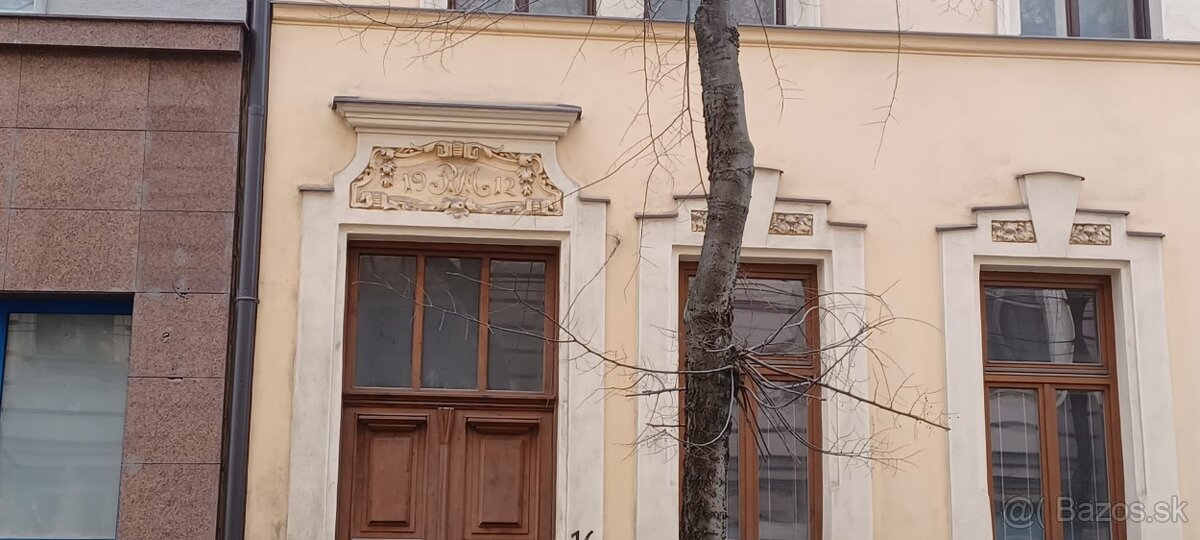 Historický rodinný dom s nádvorím, garážami - 13
