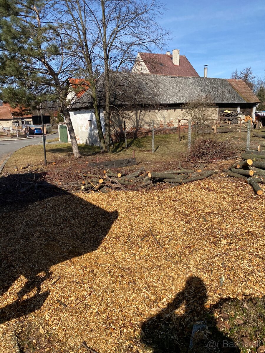 Štiepkovanie konárov - 13