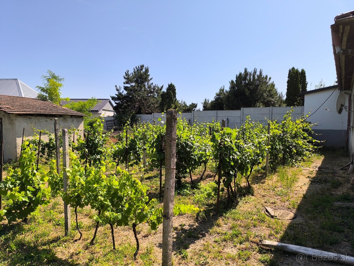 Predám rodinný dom v centre obci Dvorníky 4+1. - 13