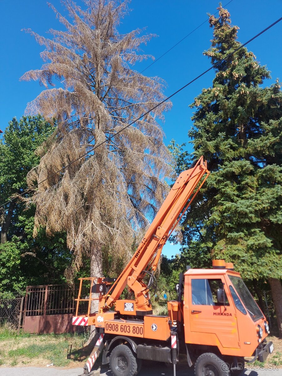 Pílenie a Orezávanie stromov - 13