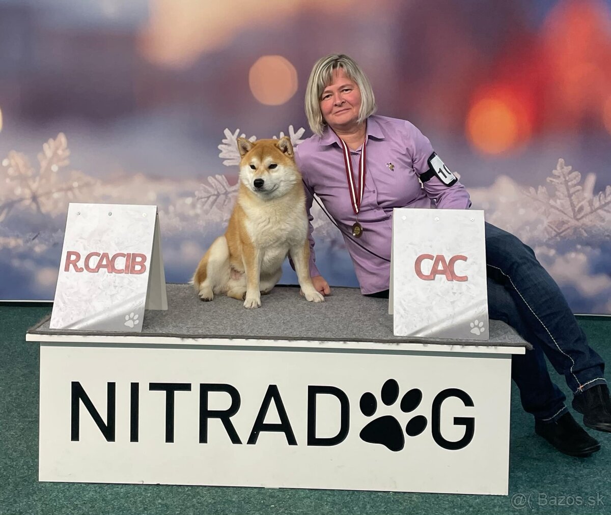Shiba inu s PP / FCI/ - 13