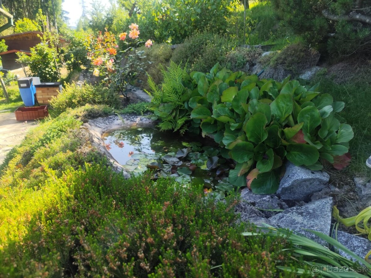 Predám záhradku s chatkou – Mojšová Lúčka I, Žilina - 13