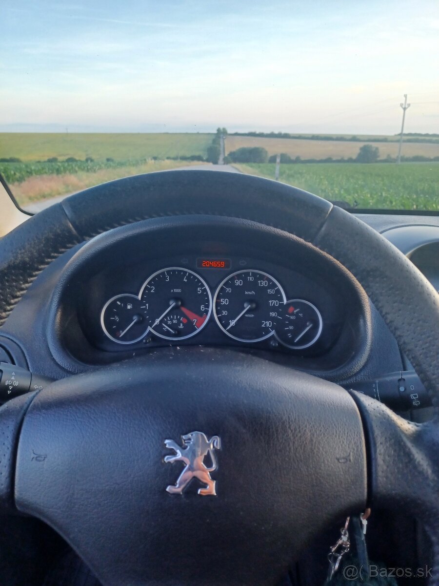 Peugeot 206 - 13