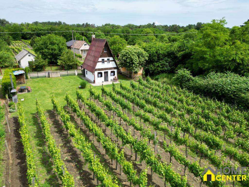 NA PREDAJ POSCHODOVÁ CHATA S VYNICOU A VÍNNOU PIVNICOU NEĎAL - 13