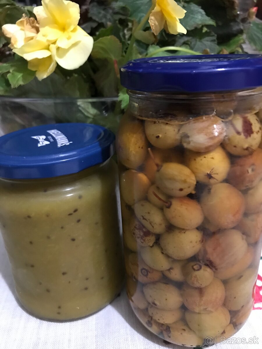 Predám MINI KIWI ISSAI - 13