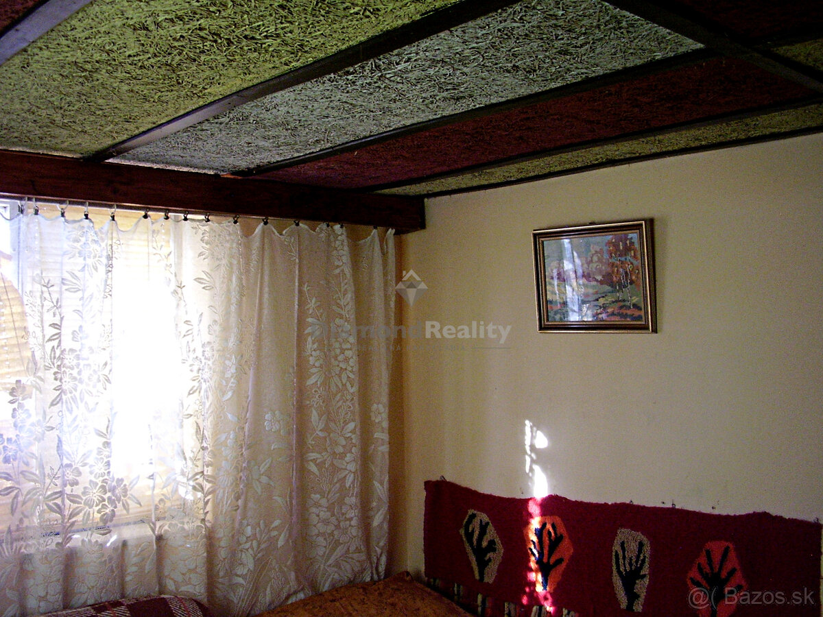 Záhradný domček s vinohradom - 13