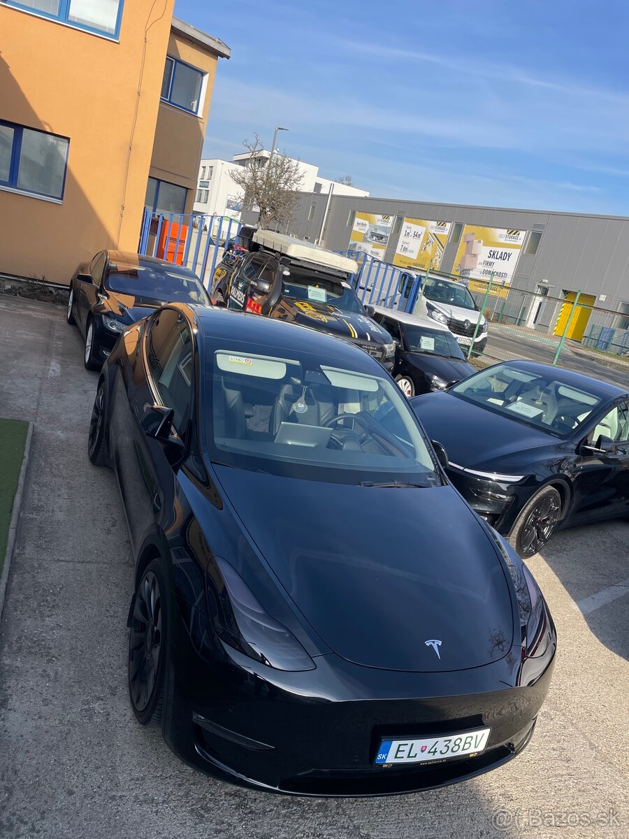 Predam Tesla model Y performance - 13